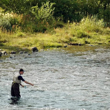 Two-Bedroom Holiday home in Eresfjord 2 Ferienhaus *